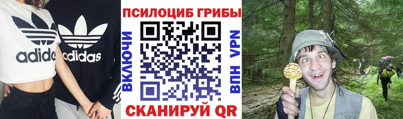 где продают наркотики  Сысерть  Галлюциногенные грибы Psilocybine cubensis 
